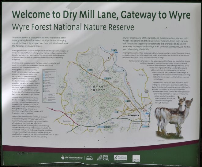 wyre forest.1901 info board